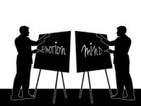 掌握股市决策工具，提升投资智慧与效率