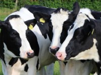 经济新闻报道，解读市场动态，把握理财机遇