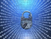 英伟达股价走势深度解析，技术巨头的未来投资潜力