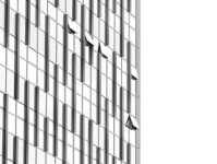 经济新闻报道，把握市场脉搏，解读财经动态