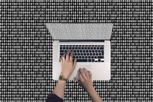 掌握股票趋势线，正确的画法与投资决策