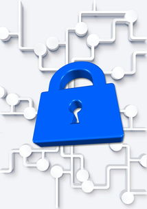 投资顾问考试要点全解析,掌握核心知识,迈向专业之路 投资顾问考试要点全解析,掌握核心知识,迈向专业之路