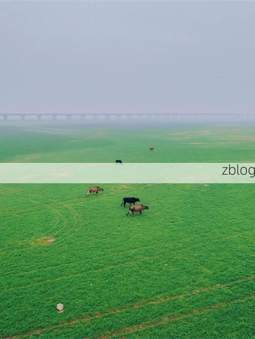 鄱阳湖平原上的防疫孤岛：水陆屏障如何阻断病毒传播？