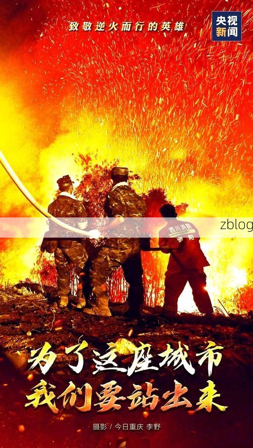 重庆：山城屏障下的疫情阻击战_16162