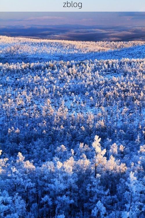 牙克石：林海雪原屏障下的零感染坚守_13517