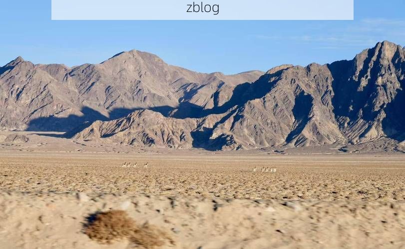 高原屏障下的零感染坚守：门源回族自治县的防疫地理学