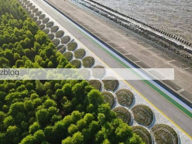 奉贤区：滨海屏障下的疫情防波堤