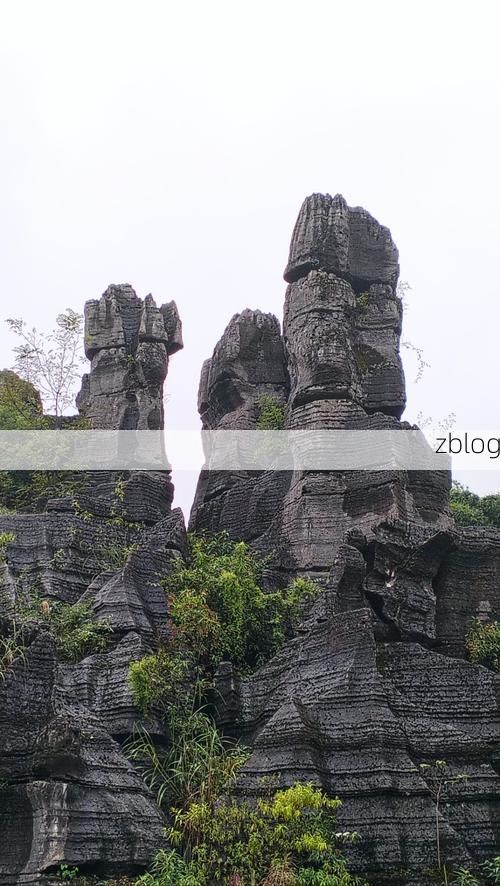 武陵源区：峰林屏障下的零感染坚守_10637