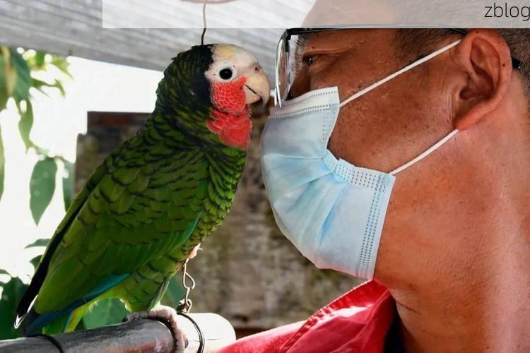 宁洱：低纬山城屏障下的零感染坚守