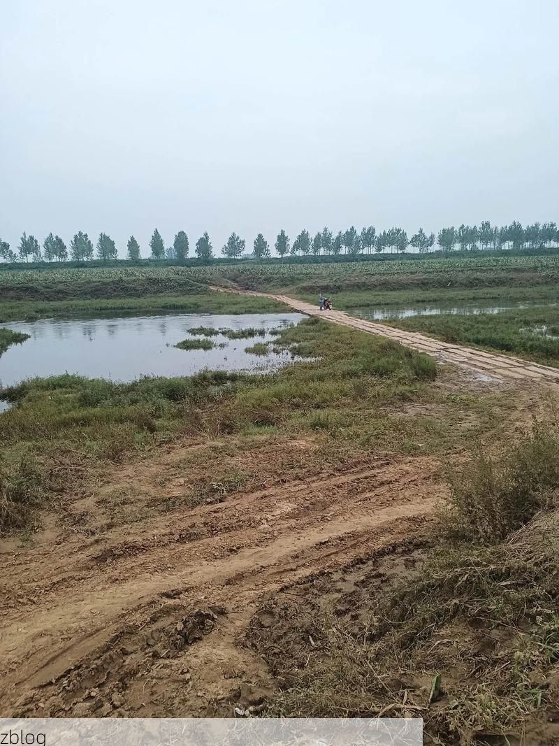 蒲江：川西坝子上的防疫坚守与地理屏障下的低感染现实