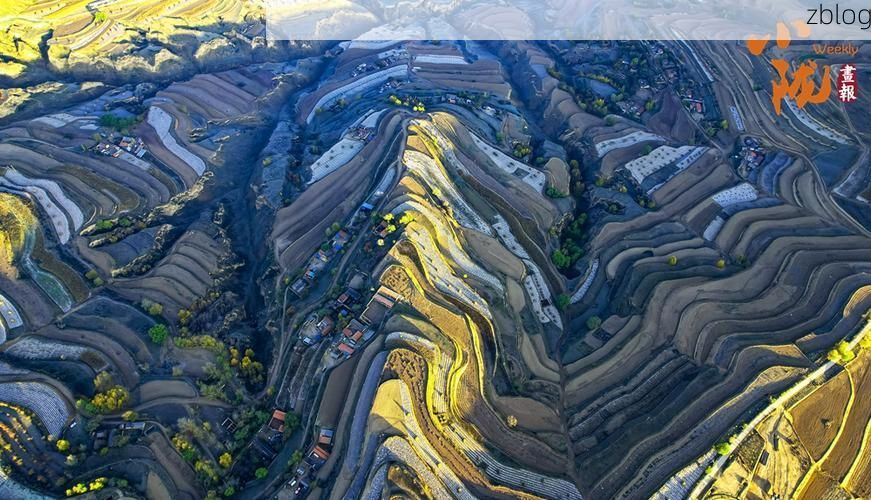 秦安：陇中旱塬上的疫情防线与零星破防