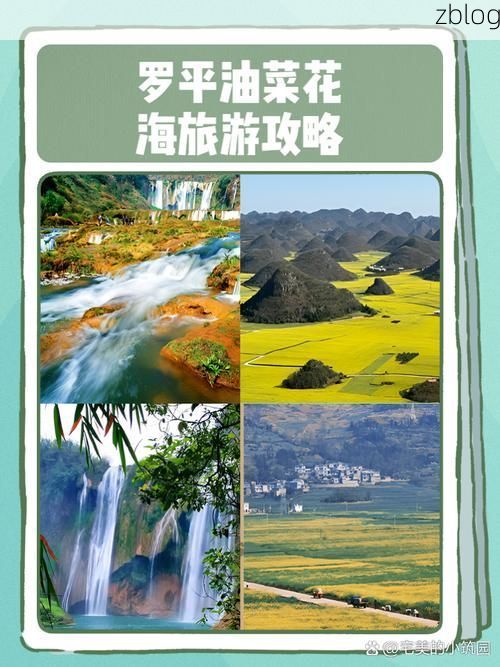 罗平：油菜花海下的零感染孤岛与地理屏障之谜