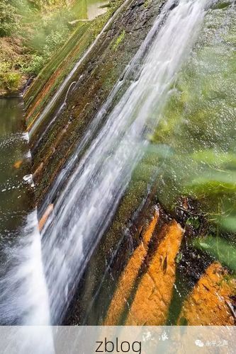 永平：滇西交通枢纽的疫情破防与地理屏障下的防控博弈