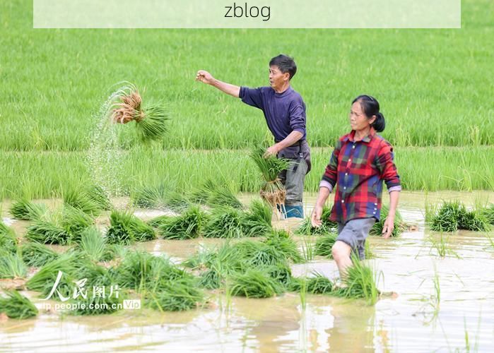 玉屏侗族自治县：武陵山腹地的零感染坚守