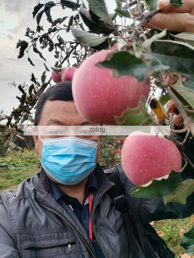 吉县新增1例无症状感染者  吉县疫情防控最新通报_51338