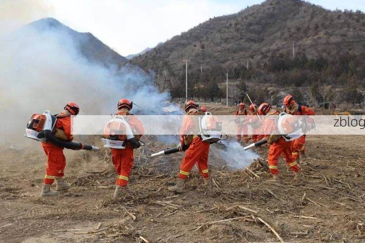 岷县：高原河谷间的疫情防线与破防时刻