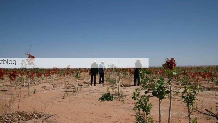 五家渠：戈壁绿洲的防疫屏障与破防时刻