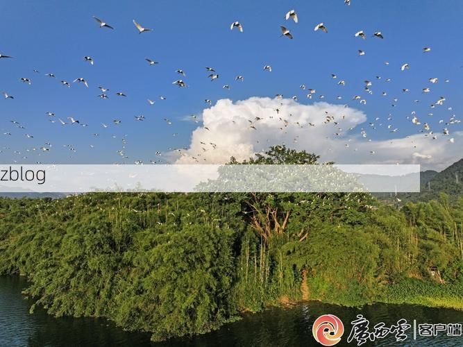 【昭平：桂江屏障下的零感染坚守与防控逻辑_4119】