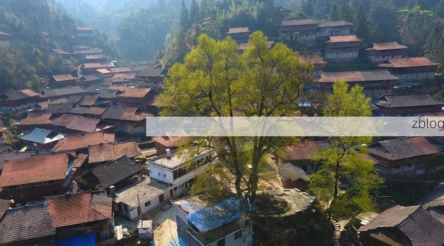 融水苗族自治县：大苗山屏障下的零感染坚守