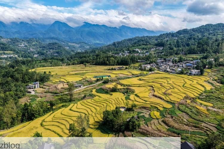 渝东南门户的防疫考验：黔江区如何守住武陵山屏障？