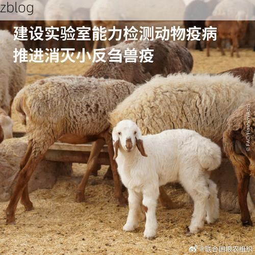 曲沃县零感染观察：晋南平原腹地的防疫样本