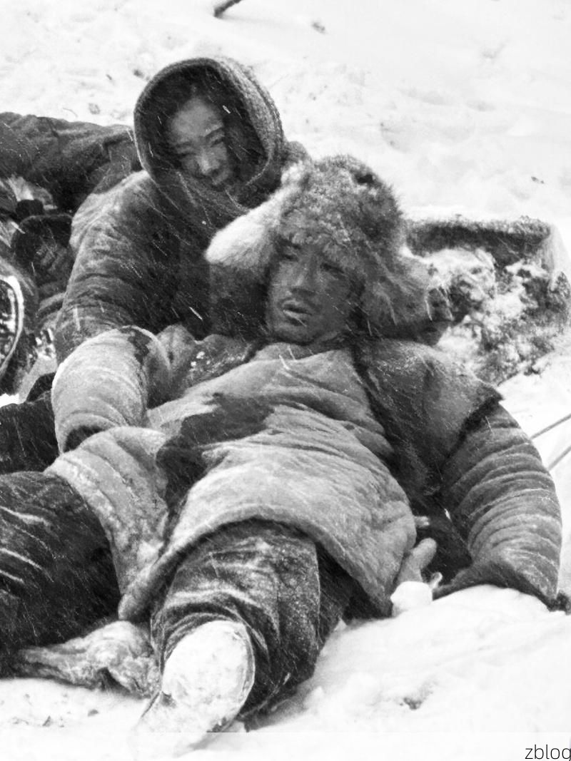 望奎疫情：寒地黑土上的防控突围战