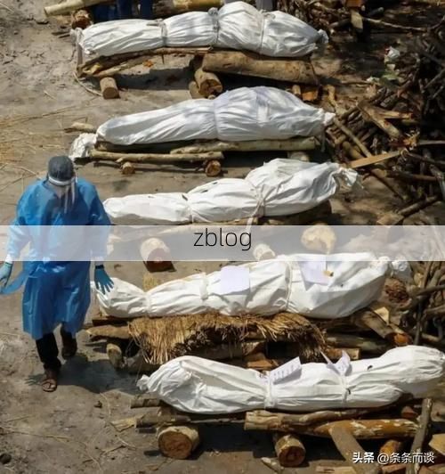 31省新增本土12例，阆中市疫情最新消息