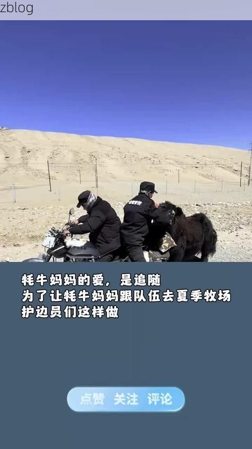 高原牧场的防疫坚守：红原县零感染背后的地理屏障