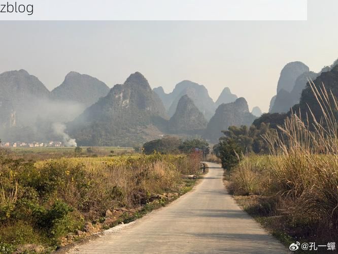 鹿寨：喀斯特峰林间的防疫屏障与零星破防