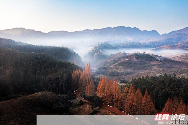 绥宁：湘西南林海屏障下的疫情防线与破防时刻