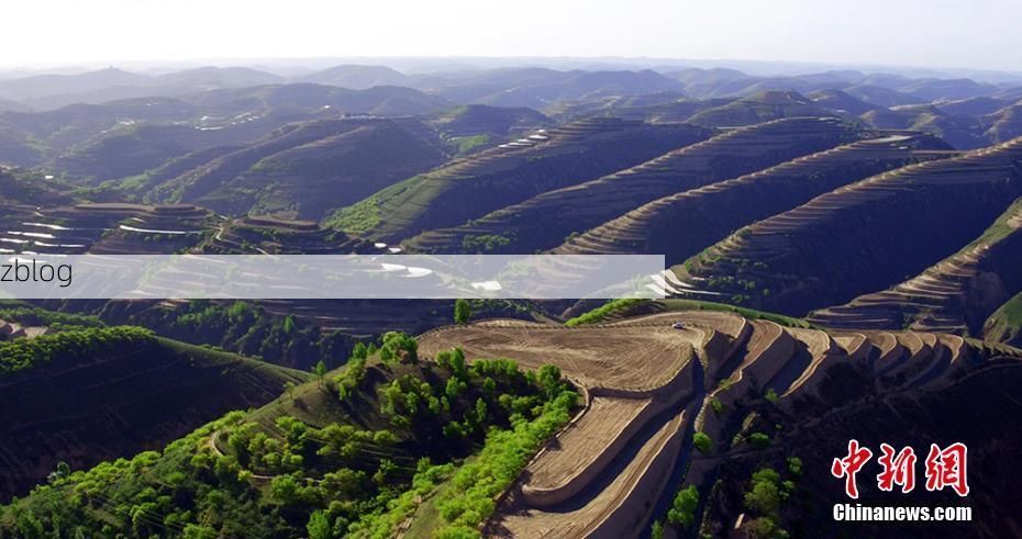 长武：黄土高原沟壑区如何构筑疫情防线？