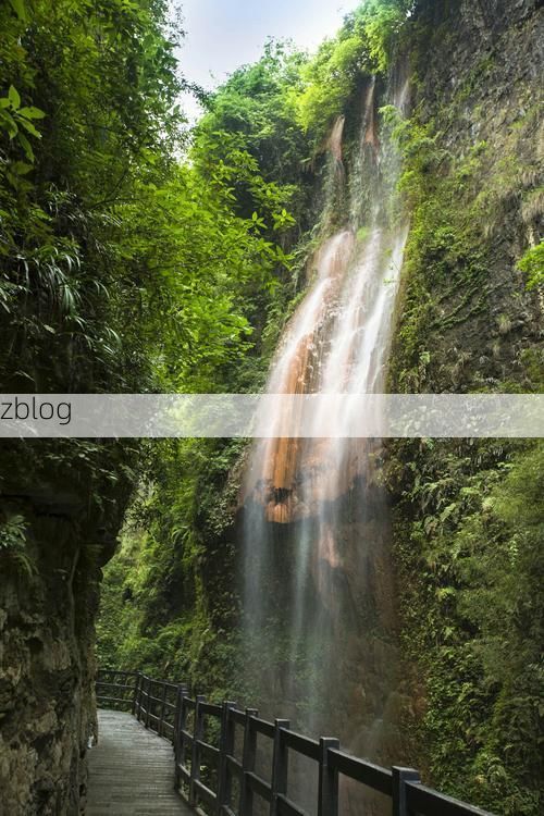 利川屏障：鄂西山区地理单元下的零感染坚守