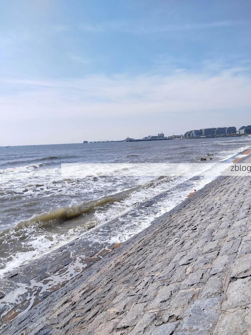 苏家屯区：东北铁路枢纽的疫情防波堤