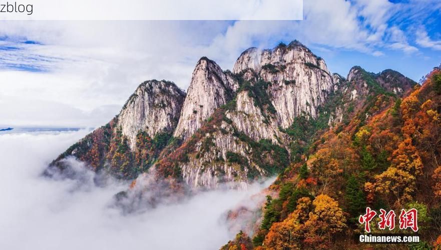 岳西：大别山腹地的零感染坚守与物理防线