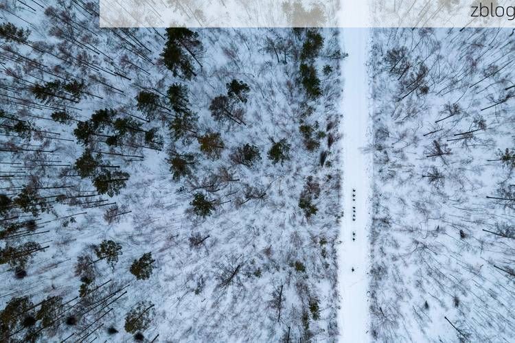 江源区：高寒林海屏障下的零感染坚守