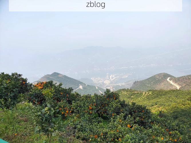 桑植县：武陵山腹地的零感染坚守与物理防线_28670