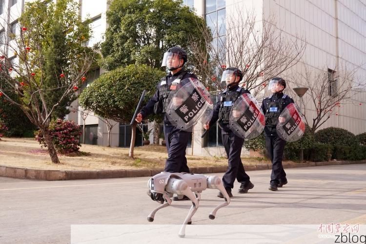 北碚缙云屏障下的疫情破防：一座科教新城的防控样本