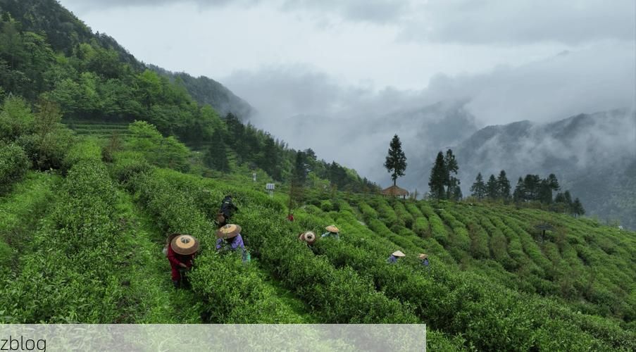 新化：雪峰山屏障下的疫情破防与流调溯源_16950