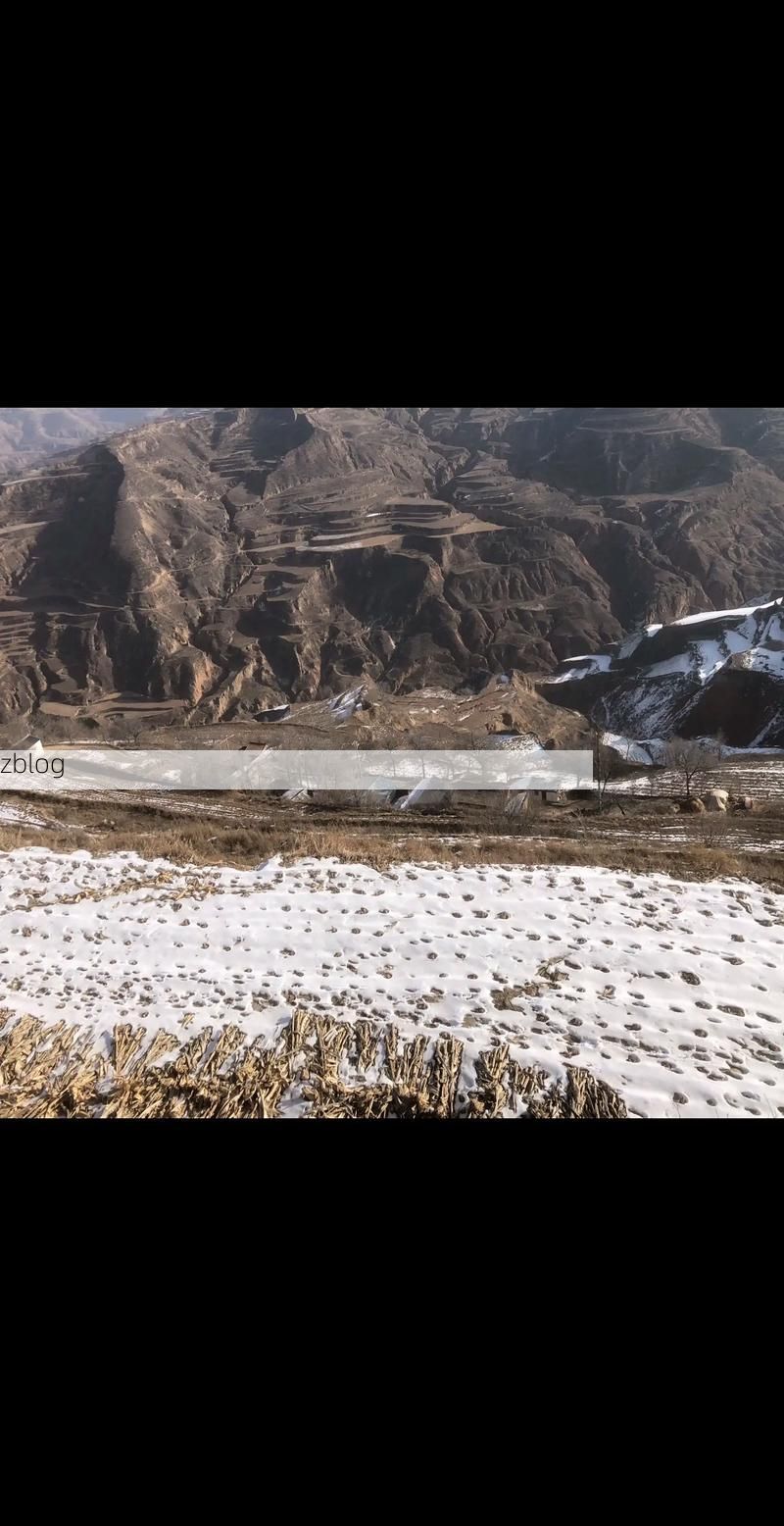 静宁：黄土高原沟壑间的防疫屏障与破防时刻