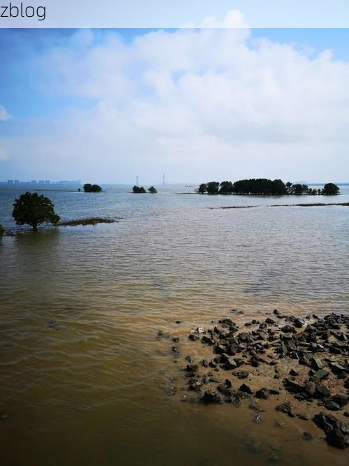 茂名：南海之滨的防疫坚守与破防时刻
