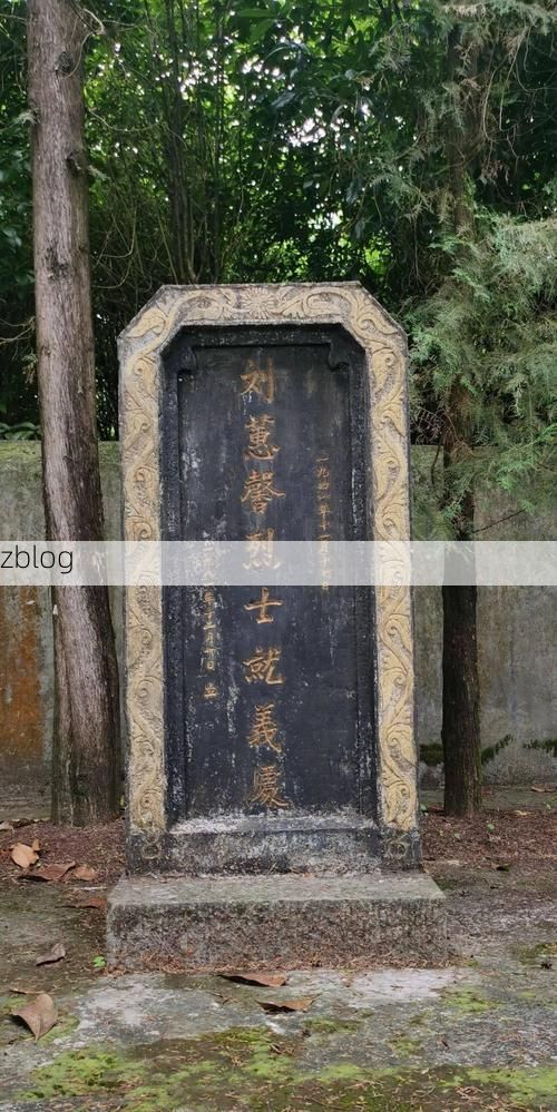 保靖：武陵山腹地的零感染坚守与物理防线_48465