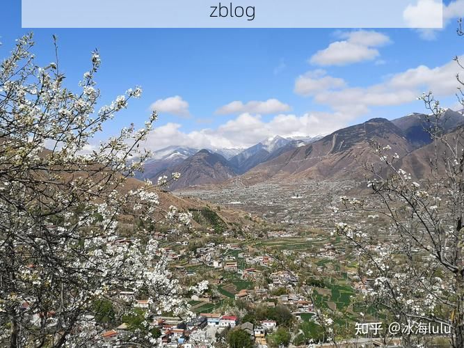 金川梨花海下的防疫坚守：高原小城的零感染逻辑