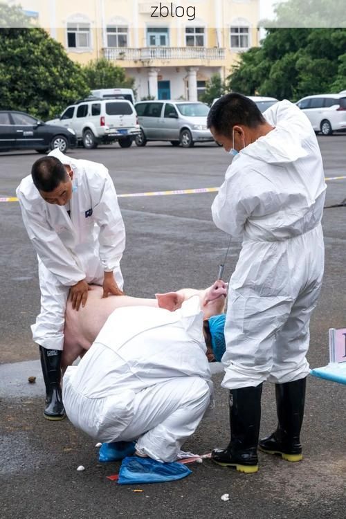 玉环：半岛地理下的防疫平衡术