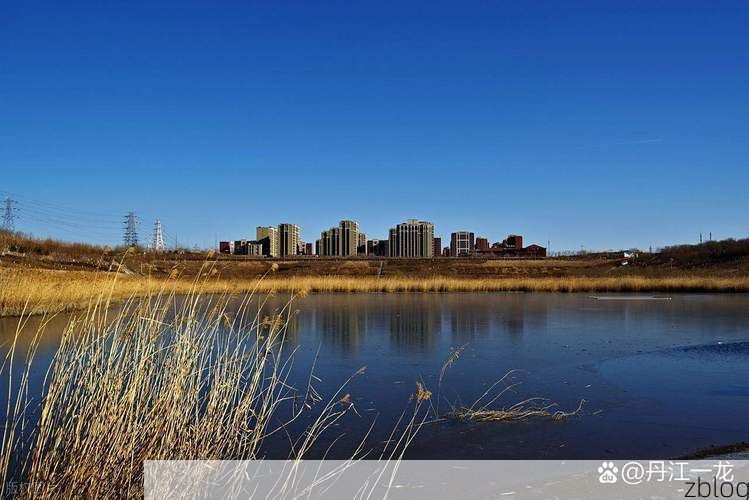 阿克苏市：塔河屏障下的零感染愿景