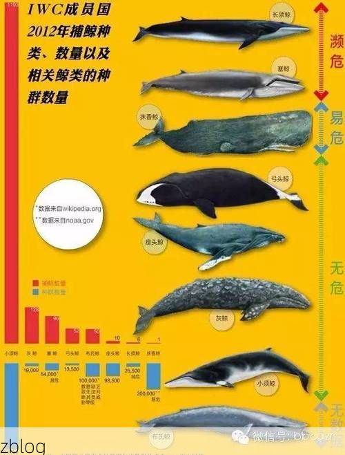 和田：绿洲孤岛与病毒输入的防疫博弈