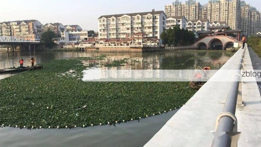 兴化水网屏障与本土疫情的攻防实录