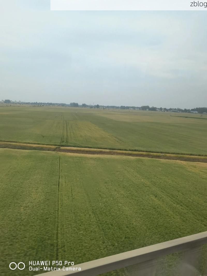 睢县：豫东平原交通枢纽的疫情防线与破口_1226