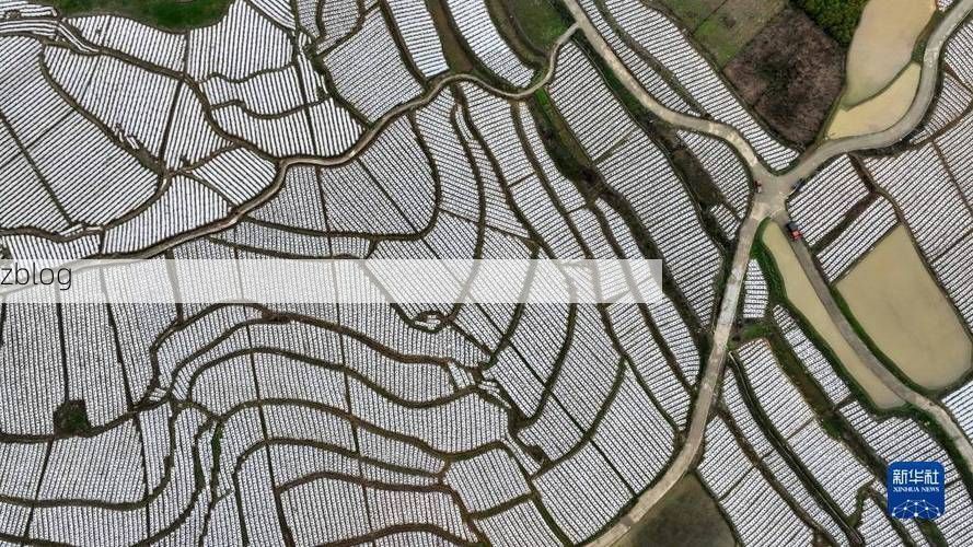 凤冈县：黔北山地屏障下的零感染坚守