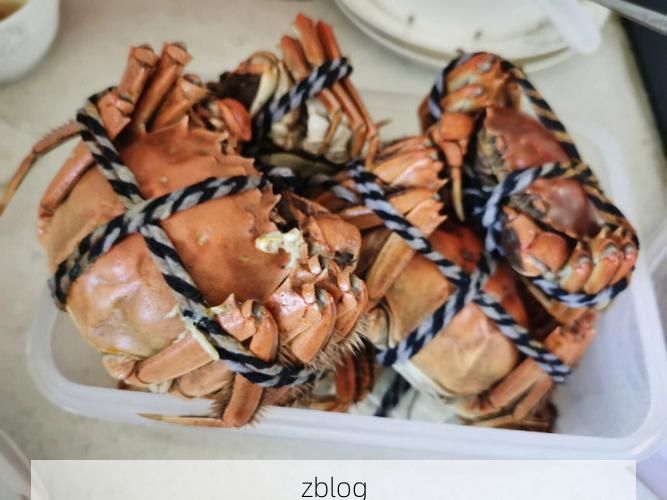 天镇：晋北门户的静默防线与零感染坚守_50348