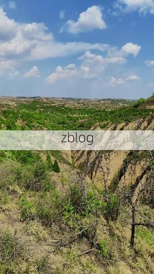 临县疫情观察：黄土高原沟壑地形下的防控挑战_62031